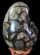 Septarian Dragon Egg Geode - Black Crystals #67784-2